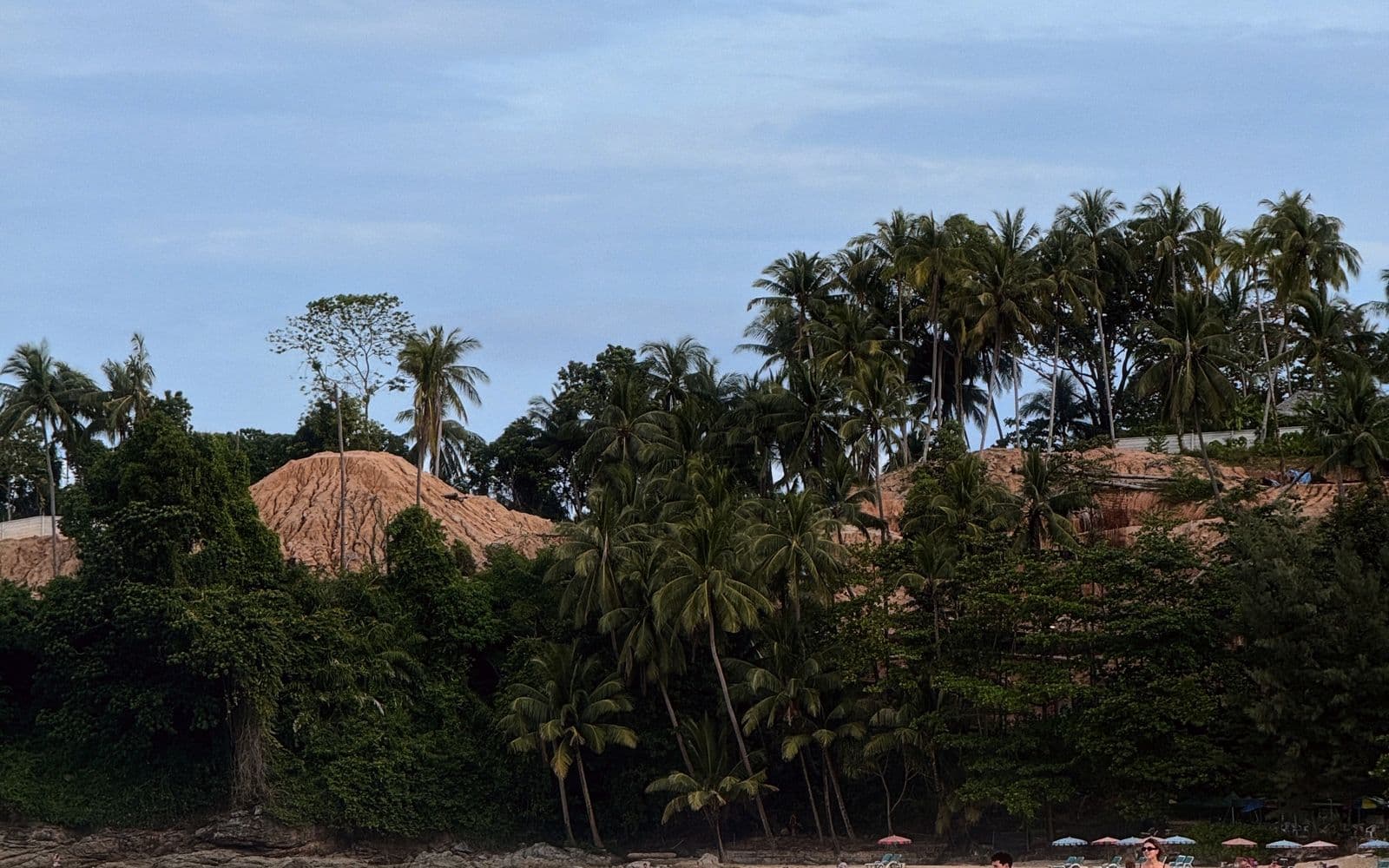 Palm-fringed beach in Phuket, Thailand