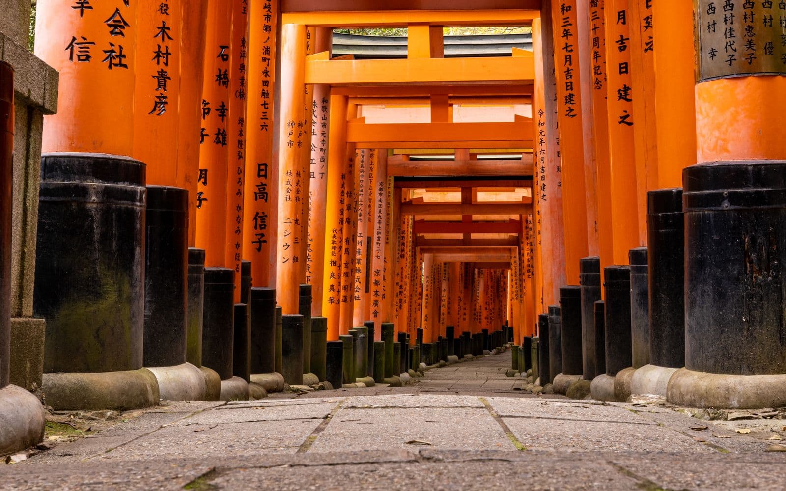 Vermilion torii gate tunnel at Fushimi Inari shrine, Kyoto